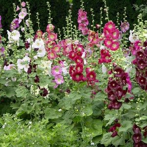 FREE SHIPPING ON BUNDLES